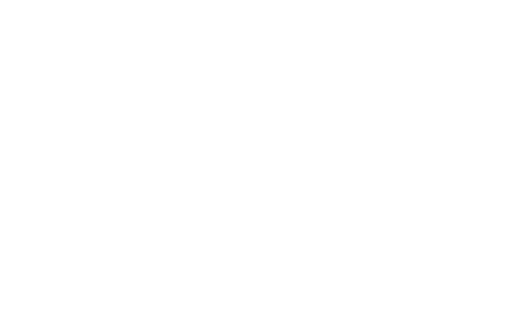 logo blanc